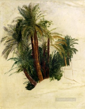  Ward Pintura - Estudio de palmeras Edward Lear